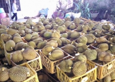 Phân phối ống nhựa Bình Minh tại Daklak mới nhất