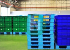 Pallet Nhựa HDPE Nguyên Sinh, Tái Sinh